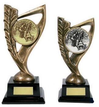 Cricket-Awards-Trophies